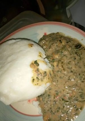 A picture of Moringa soup.