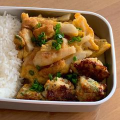 A picture of Lunchbox Mealsʕ·͡ᴥ·ʔ:Fishcake omelette with Shrimpballs.