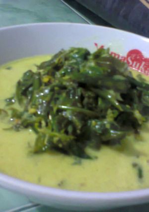 Foto resep Gulai Pakis