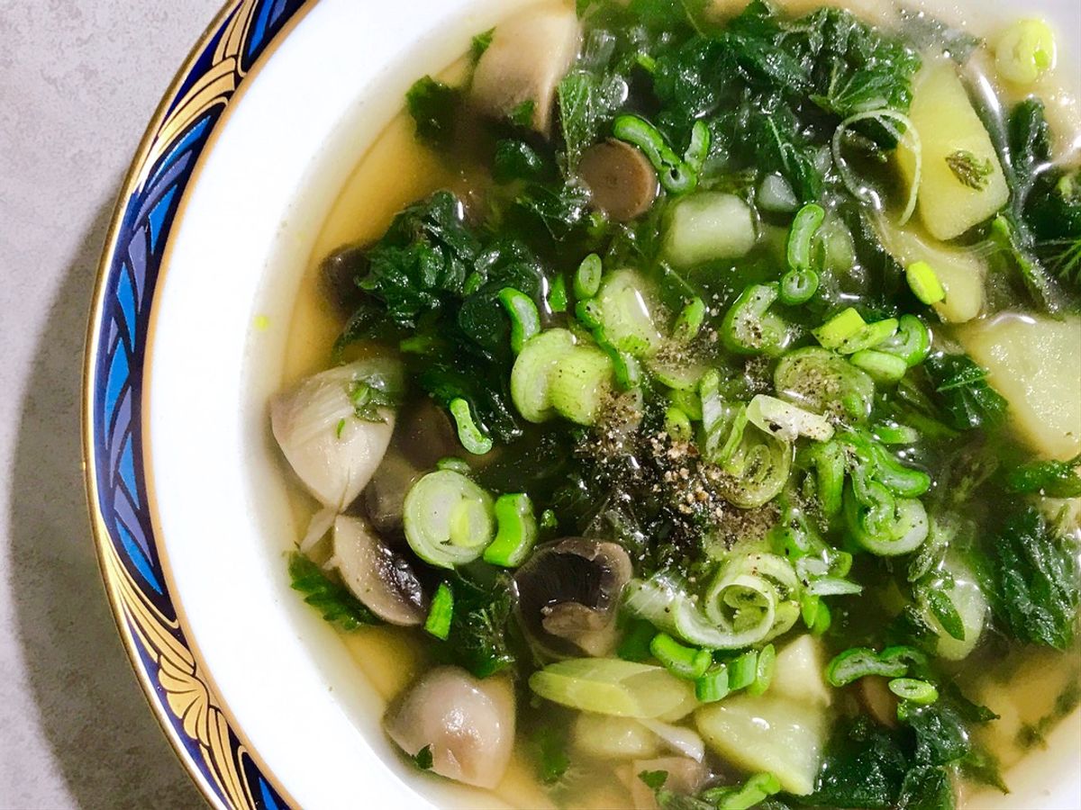 🌱 Canh Rau Tầm Ma Khoai Tây Nấm Mỡ (Vegan)