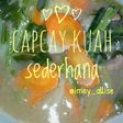 Capcay Kuah Sederhana
