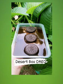 Foto resep Dessert Box Oreo