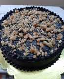 Chocolate Walnut cake