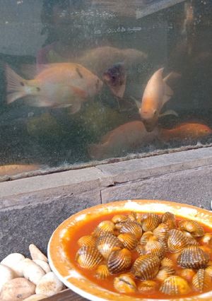 Foto resep Kerang dara favourite anak-anak