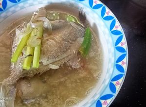 Gambar Ikan kekek ketuk serai