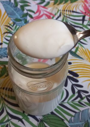 Una foto de 🍋🧄Mayonesa Casera🍋🧄