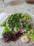 Ceviche de salmón y camarones