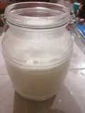 Homemade Natural Yogurt