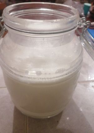 Una foto de Yogurth natural casero