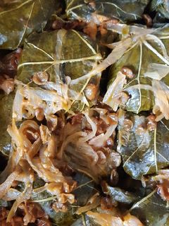 عکسی از دستور دلمه برگ مو