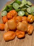 Chile de habanero con jugo de limón, ajo, sal y pimienta molida
