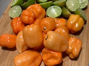A picture of lime orange