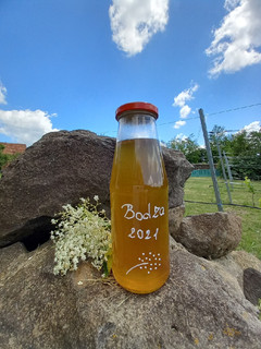 Bodzaszörp télire recept fotója
