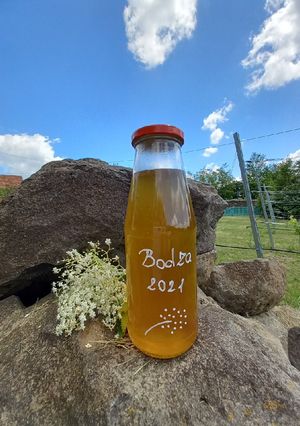 Bodzaszörp télire recept fotója