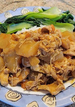 壓力鍋雞肉咖哩 的食譜成品照片
