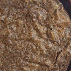 A picture of Egg with whole wheat flour.