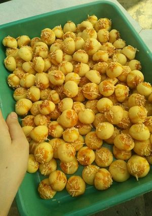Foto resep Nastar (ANTI GAGAL)