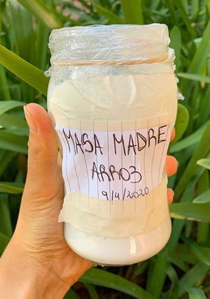 Una foto de Masa madre sin gluten