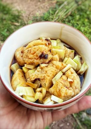 Foto resep 488 - Pempek Ada'an (20-CPApron2026)