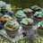 Banana Muffins (No mixer) (tutorial)