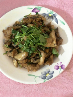 沙茶玫瑰菇炒素雞肉 的食譜成品照片