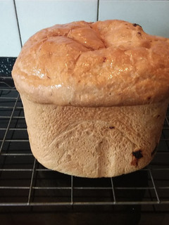 A picture of Sultana loaf (bread machine).