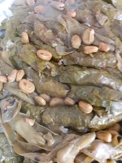 صورة لوصفة دولمة ورق عنب