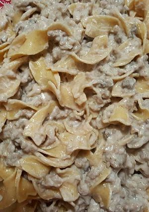A picture of Beef Stroganoff.