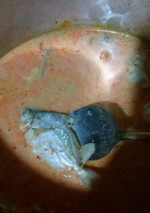 Foto resep Santan Lemak Ikan Kepetek Pedes