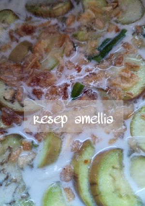 Foto resep Sayur lodeh seger super simpel