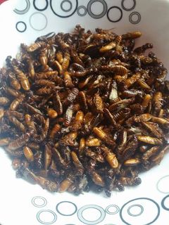 A picture of Roasted termites.