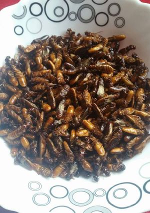 A picture of Roasted termites.