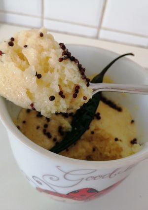 A picture of Microwave mag dhokla.