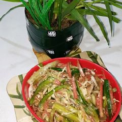 A picture of Thai Salad with Peanut Dressing 🥗🥗.