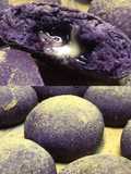 Ube Cheese Pandesal