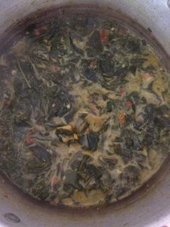 Foto resep Sayur daun singkong kuah santan