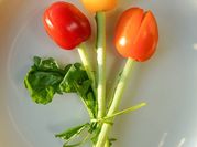 A picture of summer tomato salad