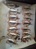 Boquerones al horno