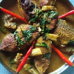 A picture of কুক স্ন্যাপ.
