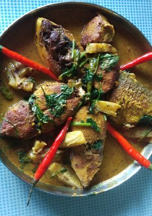 A picture of কুক স্ন্যাপ.