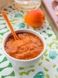 CHUTNEY ALL’ALBICOCCA (salsa a crudo)