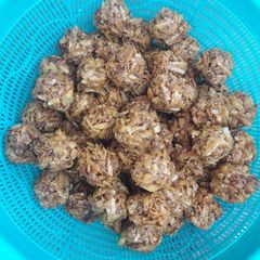 A picture of Sweet coconut balls.