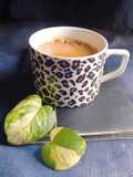 হোমমেড ইন্সট্যান্ট কফি(homemade instant coffee recipe in Bengali)
