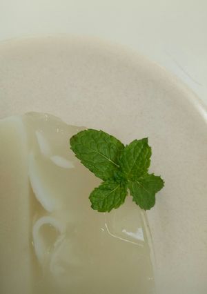 Foto resep Puding santan kelapa muda
