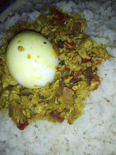 A picture of Rice with egg sauce.