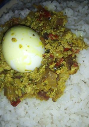 A picture of Rice with egg sauce.
