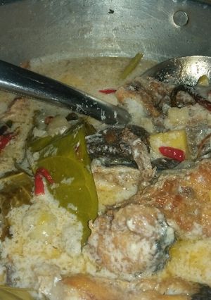 Foto resep Santan putih patin goreng