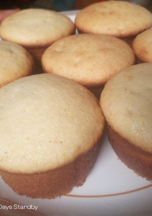 A picture of Coconut flavored mini cakes.