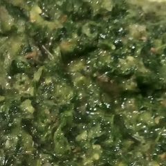 A picture of Green chutney.