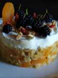 Cheesecake con fiocchi di avena,albicocche e gelsi